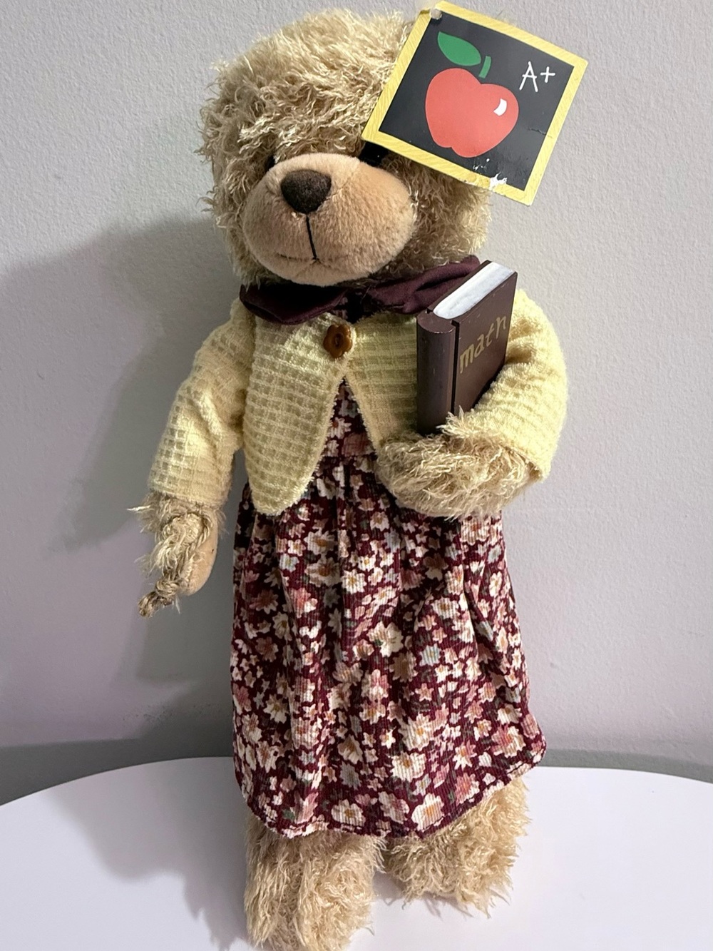 Fib Burton & Burton Teacher Teddy Bear Plush A+ Math Book Floral Dress